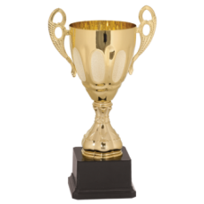 CMC701G Gold Metal Cup Trophy 11"